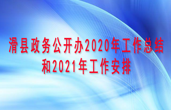 滑县政务公开办2020年工作总结和2021年工作...